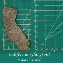 Load image into Gallery viewer, California - Silicone Freshie Mold