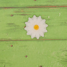 Load image into Gallery viewer, Daisy - Silicone Freshie Mold