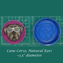 Load image into Gallery viewer, Cane Corso - Silicone Freshie Mold