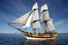 Load image into Gallery viewer, Bay Rum Premium Scented Aroma Beads