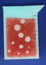 Load image into Gallery viewer, Beaker Silicone Freshie Mold