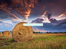 Load image into Gallery viewer, Hay Field Premium Scented Cured Aroma Beads