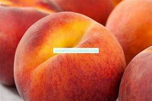 Load image into Gallery viewer, Georgia Peach Premium Scented Cured Aroma Beads