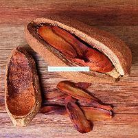 Load image into Gallery viewer, Teakwood Mahogany Premium Scented Cured Aroma Beads