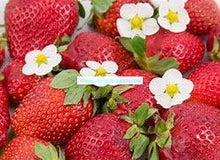 Load image into Gallery viewer, Strawberry Premium Scented Cured Aroma Beads