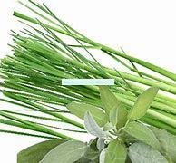Load image into Gallery viewer, Lemongrass Sage Premium Scented Cured Aroma Beads