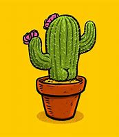 Load image into Gallery viewer, Naked Cactus Premium Scented Aroma Beads