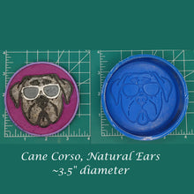 Load image into Gallery viewer, Cane Corso -  Silicone Freshie Mold
