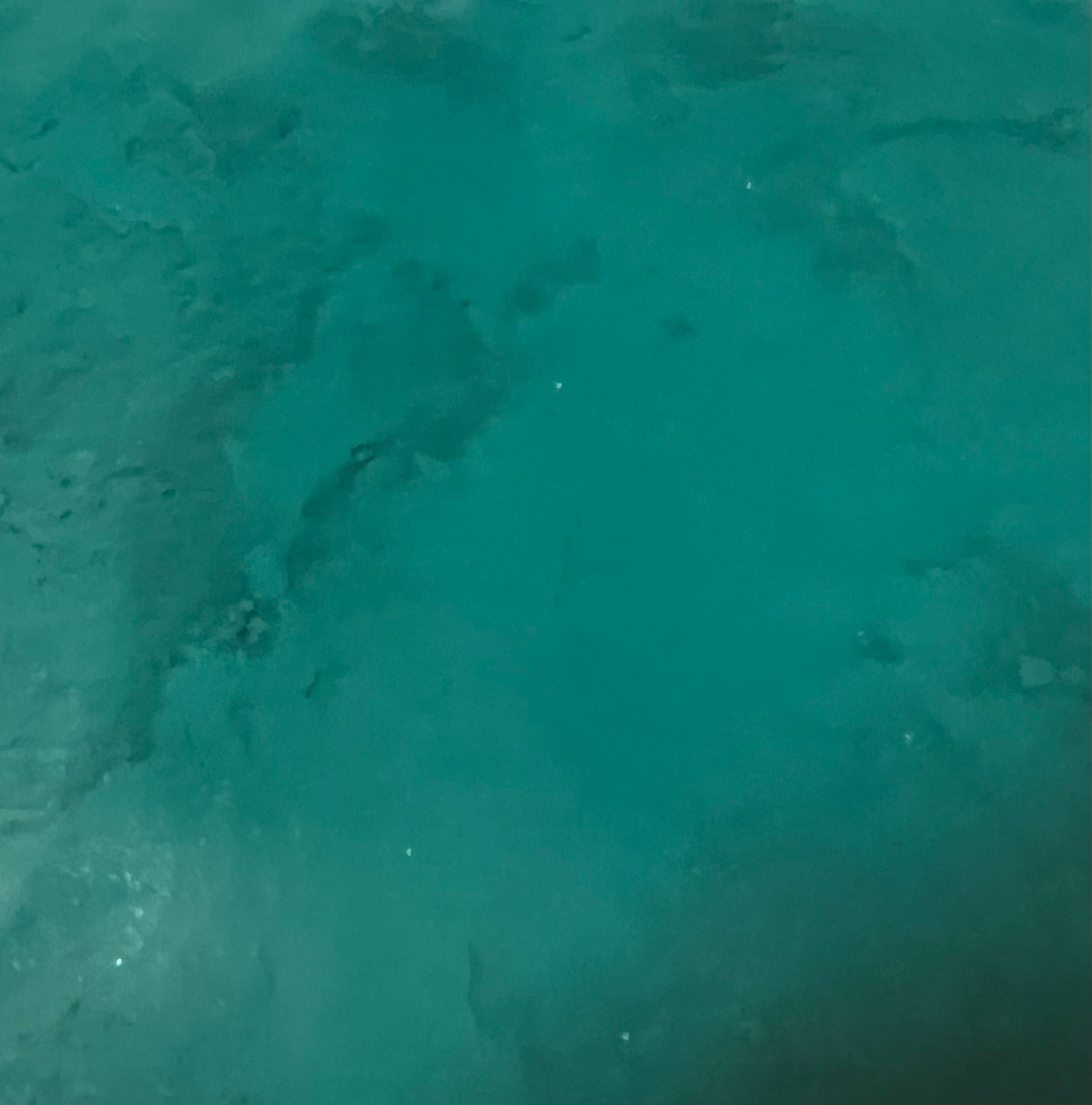 Teal-ly Pretty Pigment Powder – Cozy Leopard Boutique