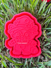 Load image into Gallery viewer, Raccoon Scarecrow Freshie Mold
