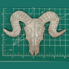 Load image into Gallery viewer, Bighorn Sheep Skull - Detailed - Silicone Freshie Mold
