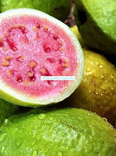 Pink Guava Premium Scented Cured Aroma Beads