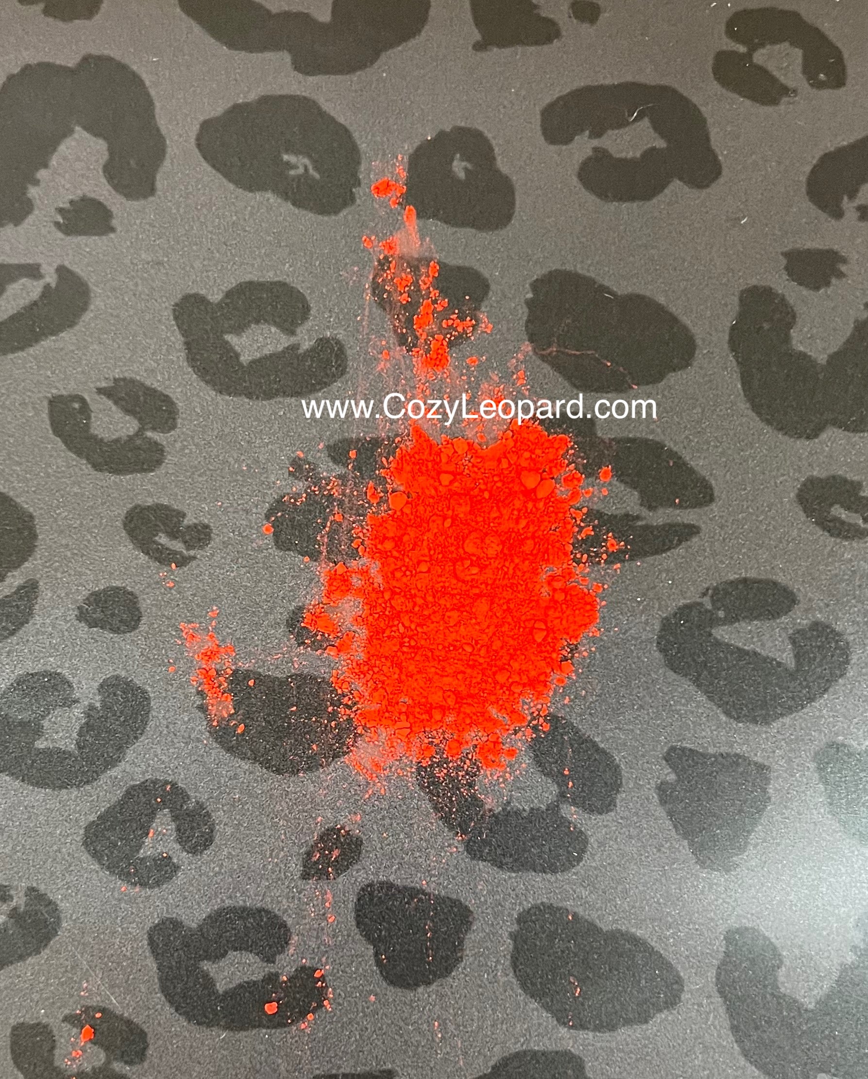 Cajun Spice Pigment Powder – Cozy Leopard Boutique
